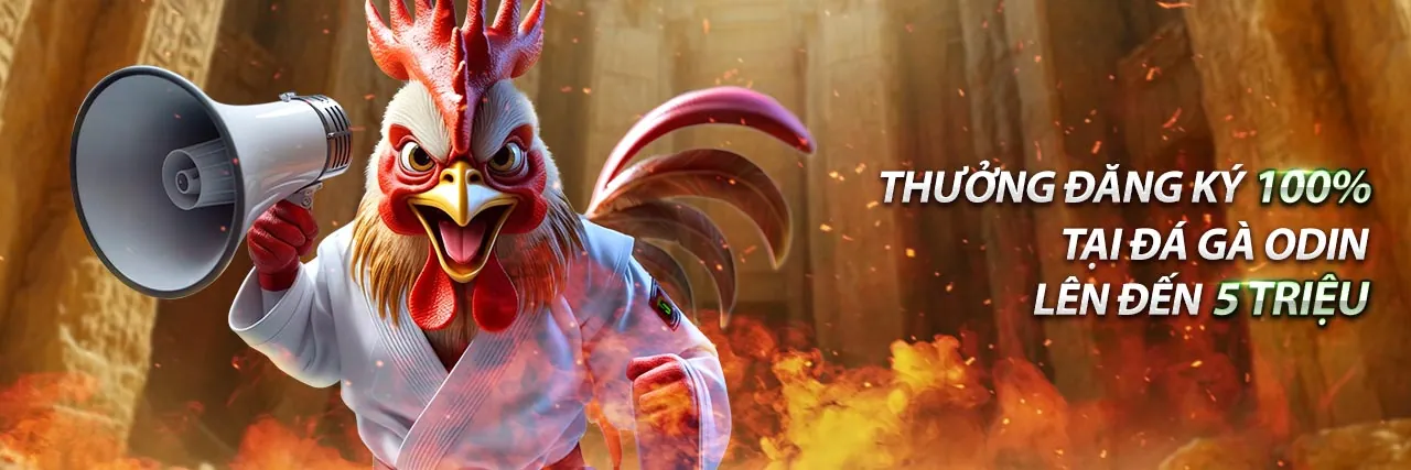 Sân đấu đá gà trực tuyến kịch tính tại bi368 đăng nhập